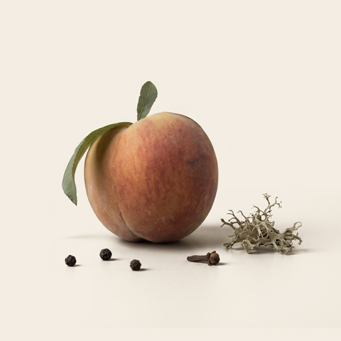 Ingredients visual