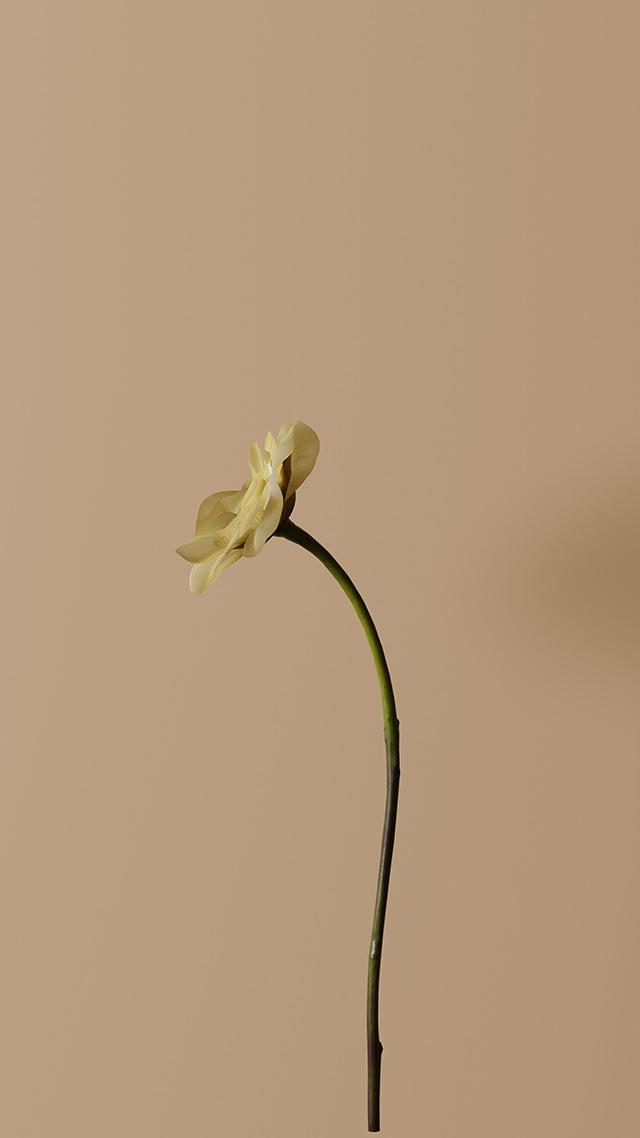 Flower detail