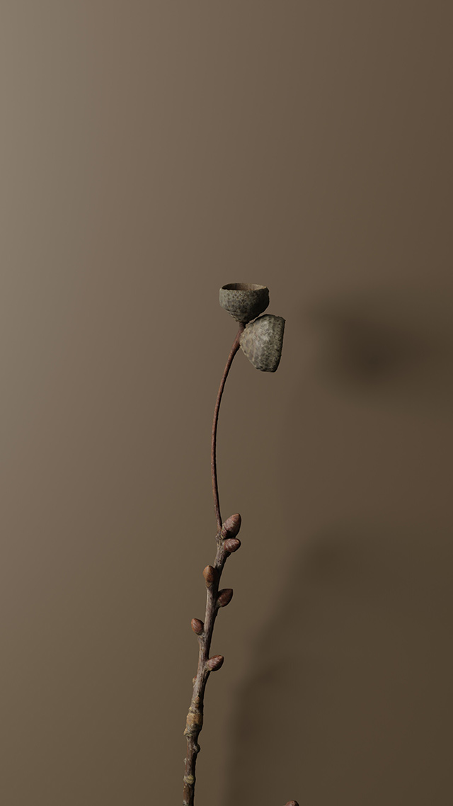 Flower detail